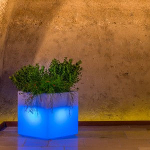Miniatura: VASO CUBE - MONACIS BRIGHT
