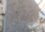 Melly Grey Fossils - Egyptian Marble