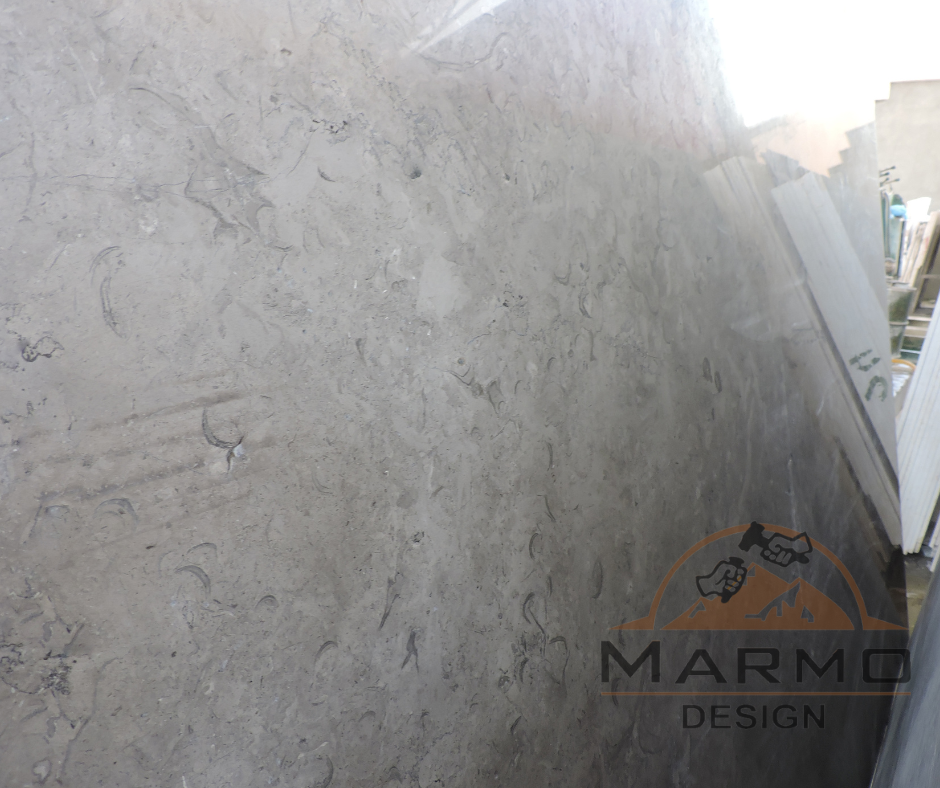 Melly Grey Fossils Polished - Egyptian Limestone