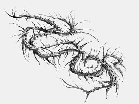 Scratches 