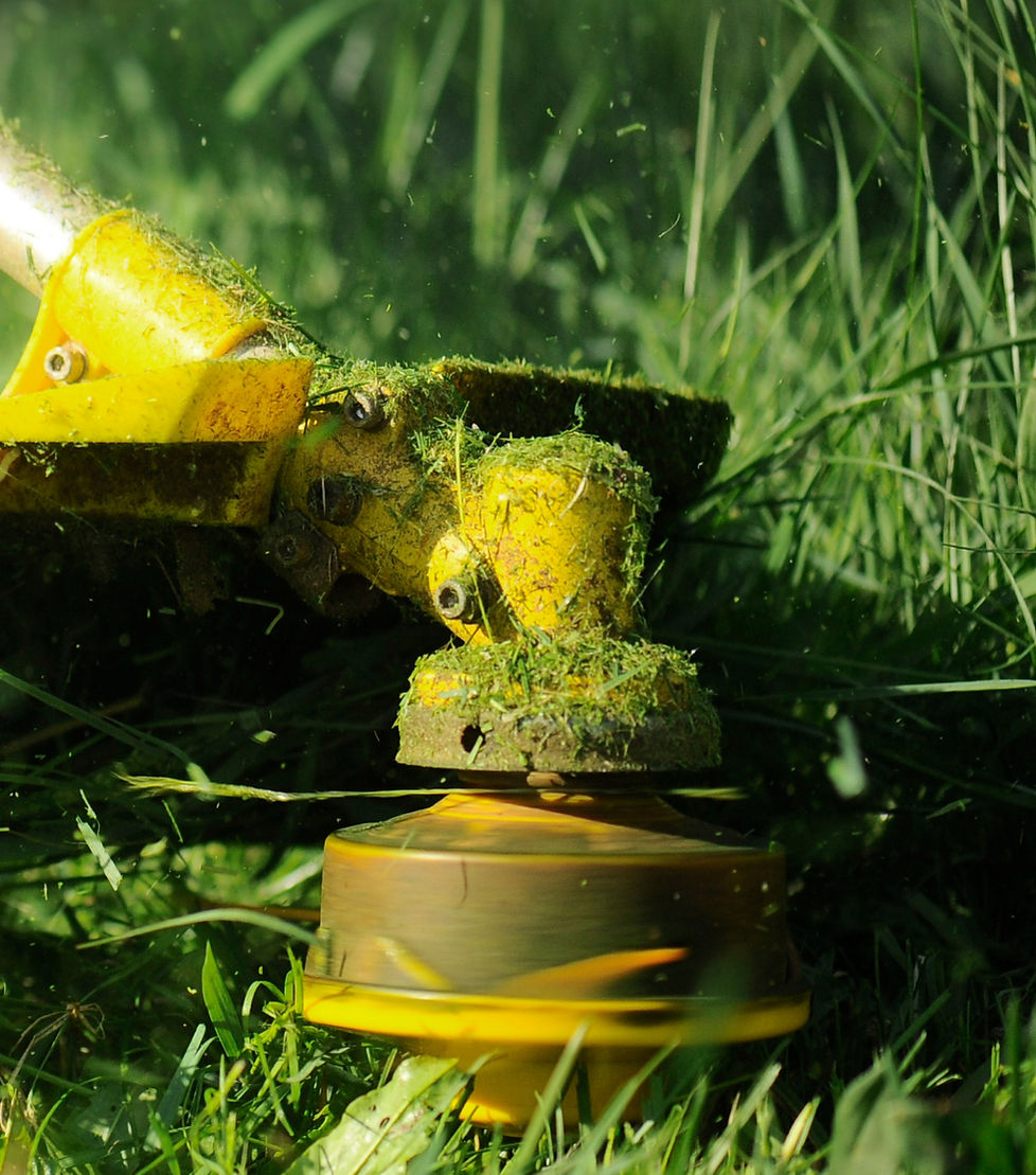 Lawnmower _edited_edited.jpg
