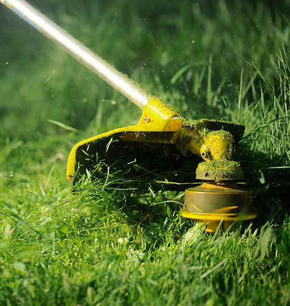 Lawnmower _edited.jpg