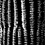 Thumbnail: Cactus1_Digital_5x7