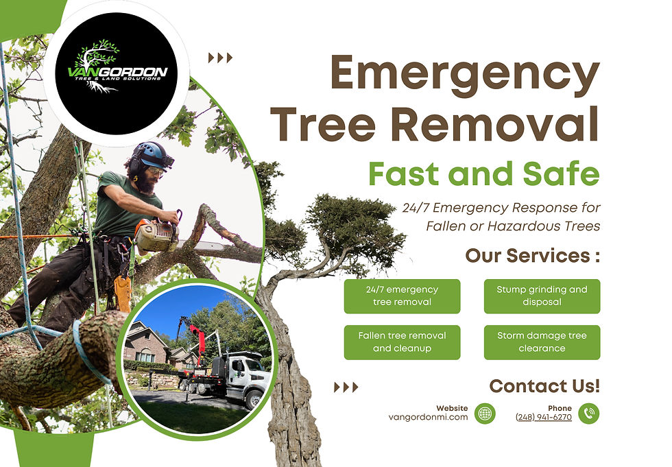 Untitled (9 x 6.25 in).png