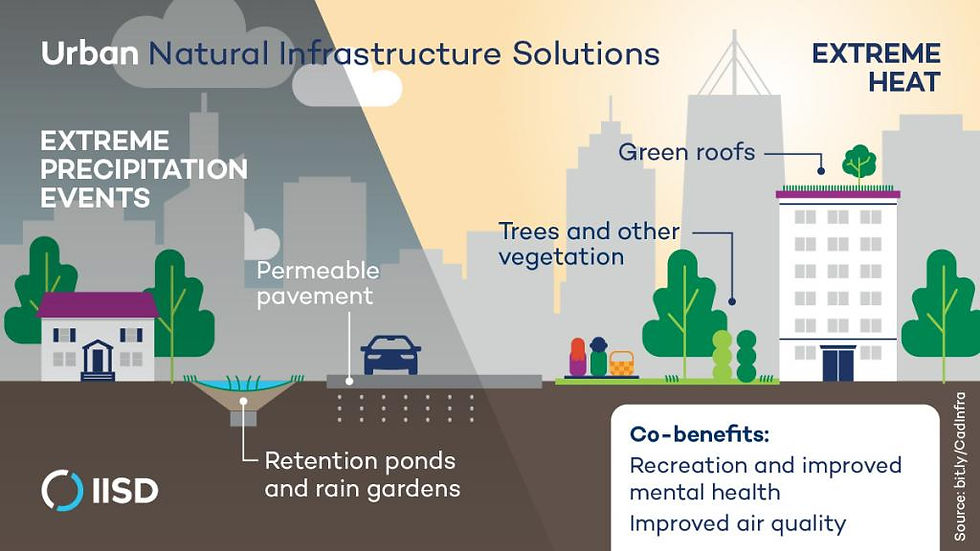 Imagecredit - Chatgpt 5.1