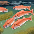 salmon in a river.jpg