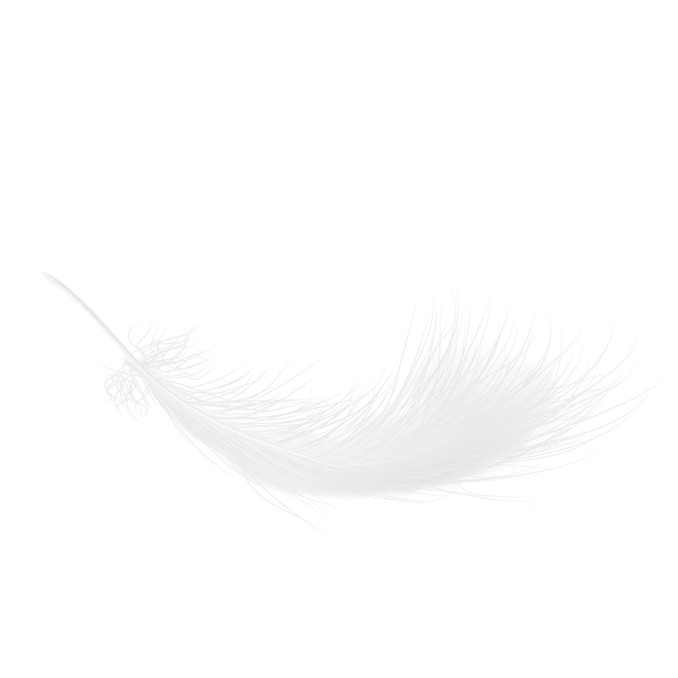 忽略