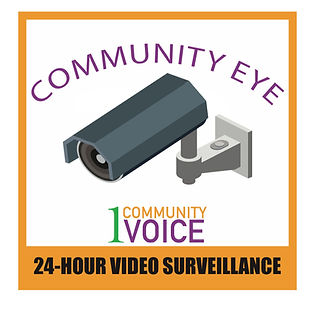 Community Eye Logo_edited.jpg