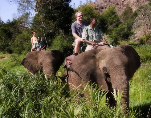 Bottelieskop game farm.jpg