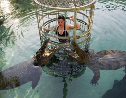 a-dive-with-a-differ-1317739559.jpg
