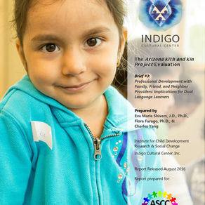 The Arizona Kith and Kin Project Evaluation – Brief #3 – 2016