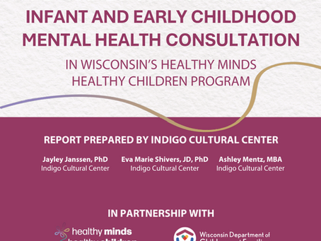 Evaluating Elements of the Framework for Effective IECMHC in Wisconsin's Health Minds Healthy Children Program (August 2024)