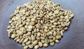 roasting-excelsa-beans_mohiqbal_Shutterstock.jpg