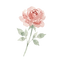 Fairy Adventures (40)_edited.png