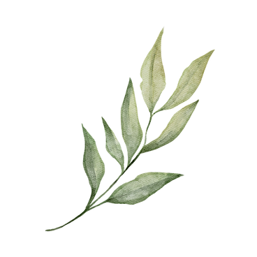 Fairy Adventures (15).png