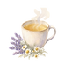 Fairy Adventures (50)_edited.png