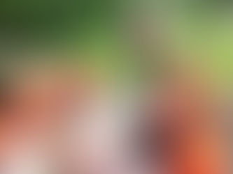 „Mur-Picknick“ … wie es früher einmal war