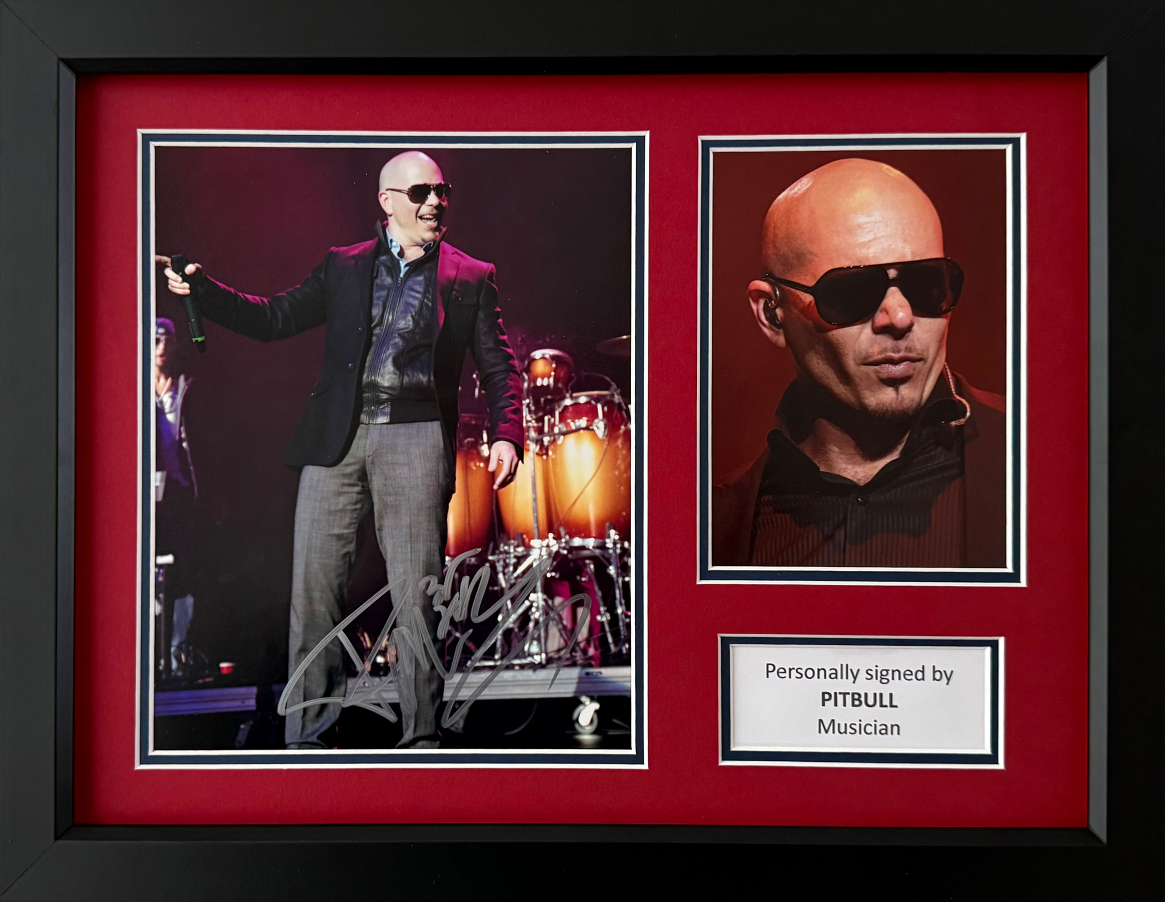 Pitbull Signed Photo In A3 Frame Display
