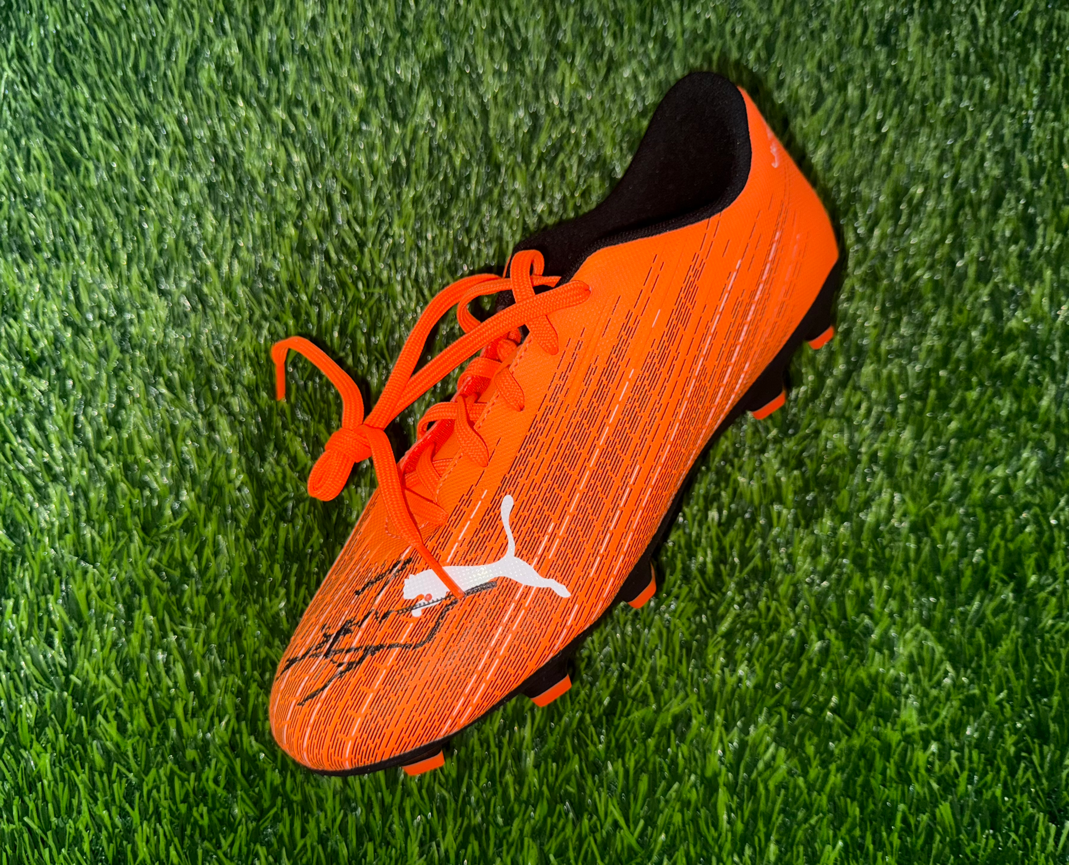 Javier Zanetti Signed Adidas Football Boot