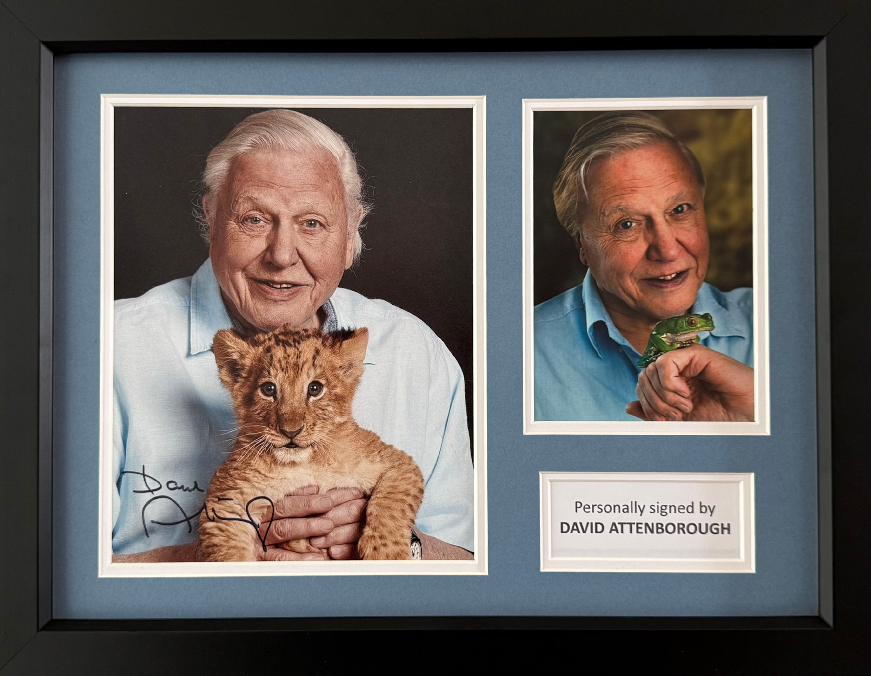 Sir David Attenborough Signed Photo In A3 Frame Display