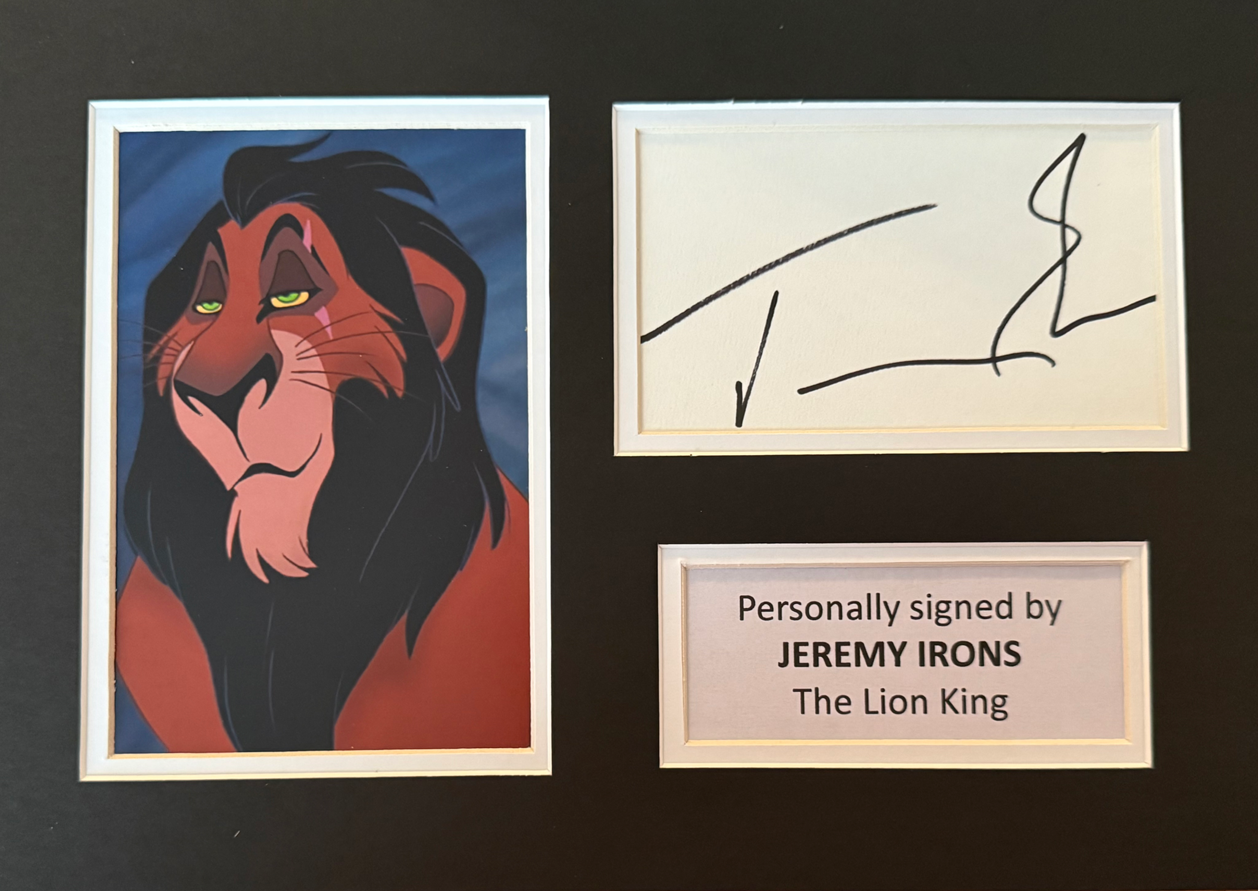 Jeremy Irons Signed White Card In A4 The Lion King Display