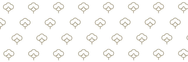 Untitled design (8).jpg