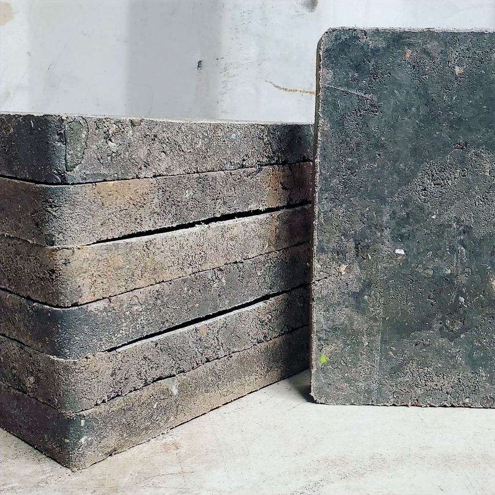 sustainable building blocks