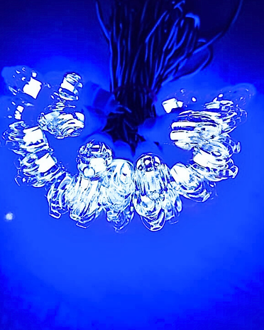 Arctic Shine_1.png