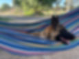 IMG_8038.jpeg