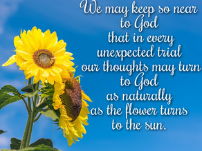 Quote: As a flower
