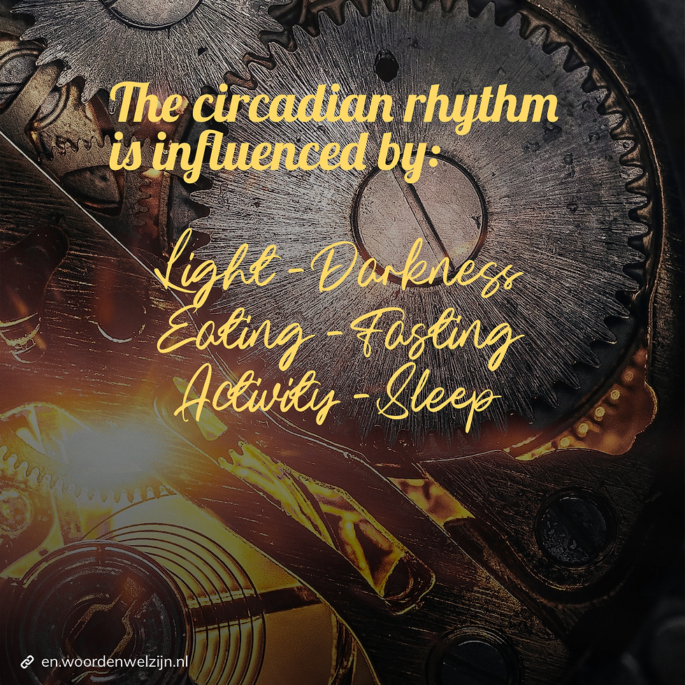 The circadian rhythm and our well-being, environmental factors