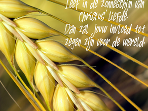 Quote - Zonneschijn van Christus liefde