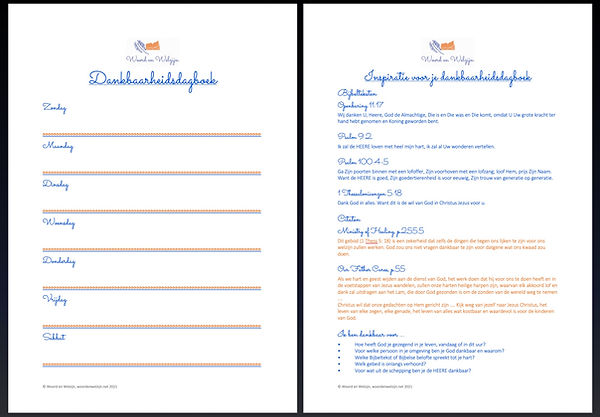 Dankbaarheidsdagboek met inspiratie ideeen dankbaarheid dagboek gratis download printable sjabloon