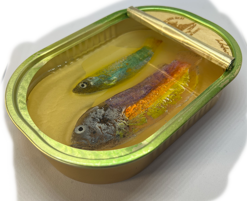 Ortaire de Coupigny | Golden Drift (Sardine Tin Art)