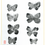 Thumbnail: Sumi ink painting of six Morant’s Blue butterflies by Haruka Miyamoto on gold-edged shikishi board
