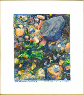 Oil pastel on shikishi art board by French artist Clotilde Aksin-Frappier representing rocks and shells on a beach.