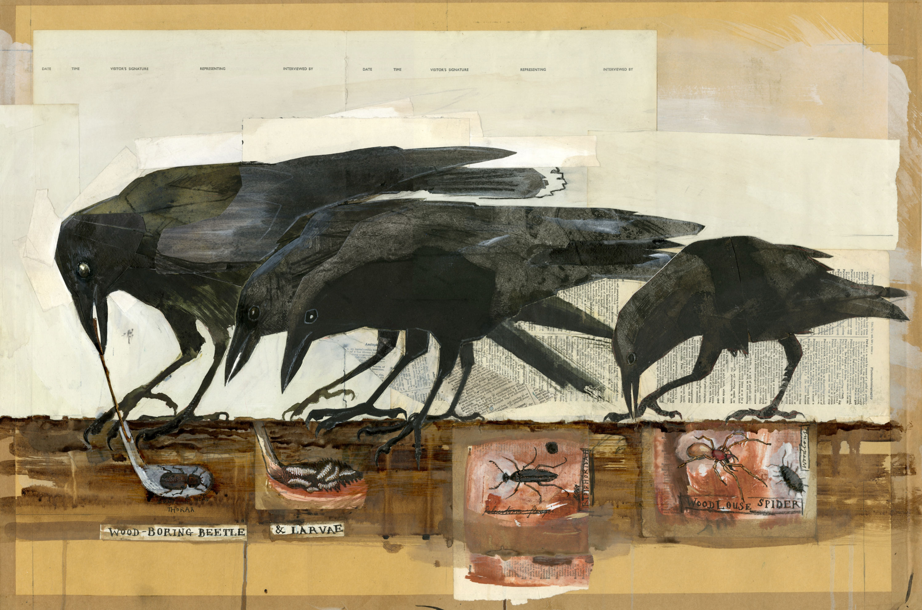 Large original crow artwork by Olivia Lomenech Gill showing crows above insects in a layered collage composition