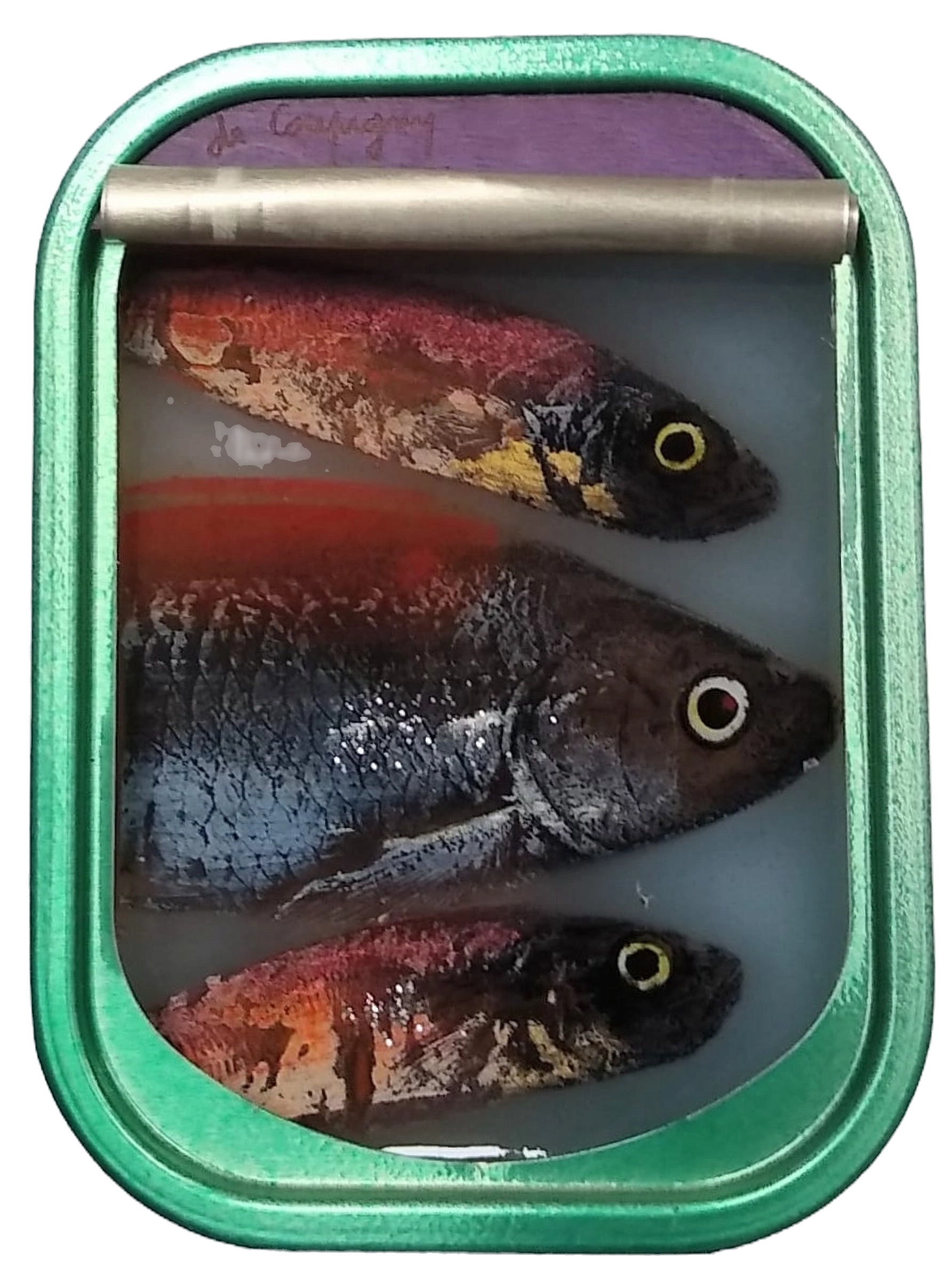 Three sculpted and painted fishes made with mixed-media technic by Ortaire de Coupigny