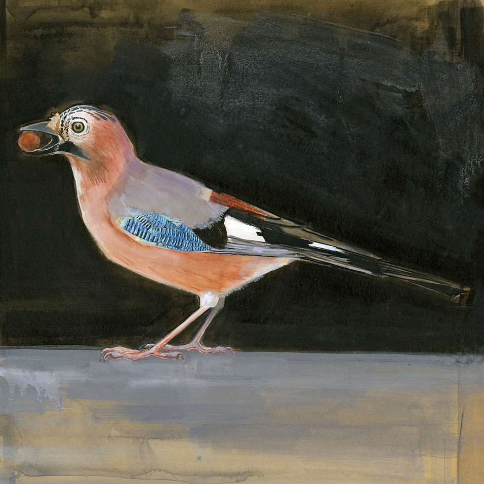 Thumbnail: Jay by Olivia Lomenech Gill, detail of a large-scale one-of-a-kind original bird artwork