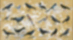 Large original bird artwork by Olivia Lomenech Gill showing a group of corvid birds in a richly detailed composition