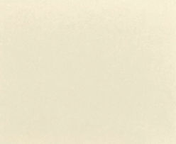 torinoko paper as background of the stripe