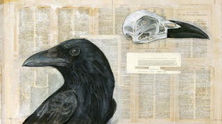 Original artwork by Olivia Lomenech Gill representing a crow's head and a crow's skull.