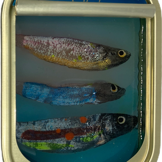 Artwork by French artist Ortaire de Coupigny representing three sculpted fishes in a tin can. Picture by Art San Gallery.