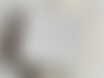 Gasen dōsa shikishi board made in Mino, Japan