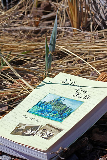 Close-up of a custom family history book.
