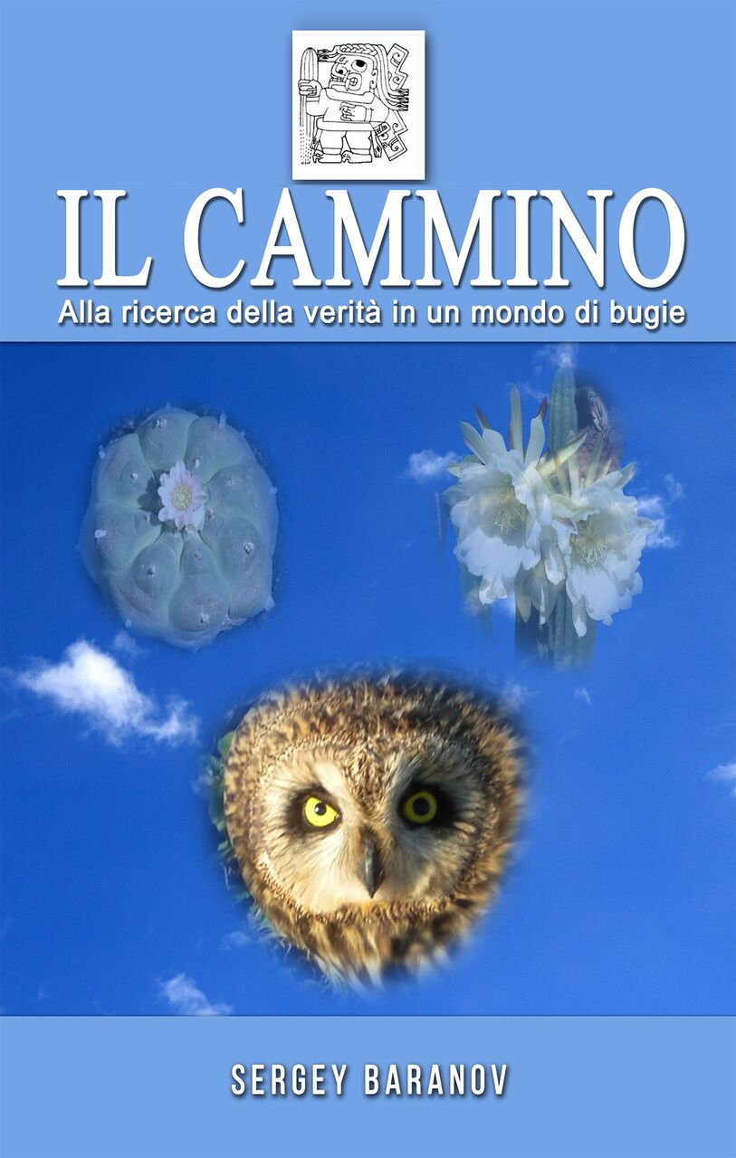 IL CAMMINO E-Book