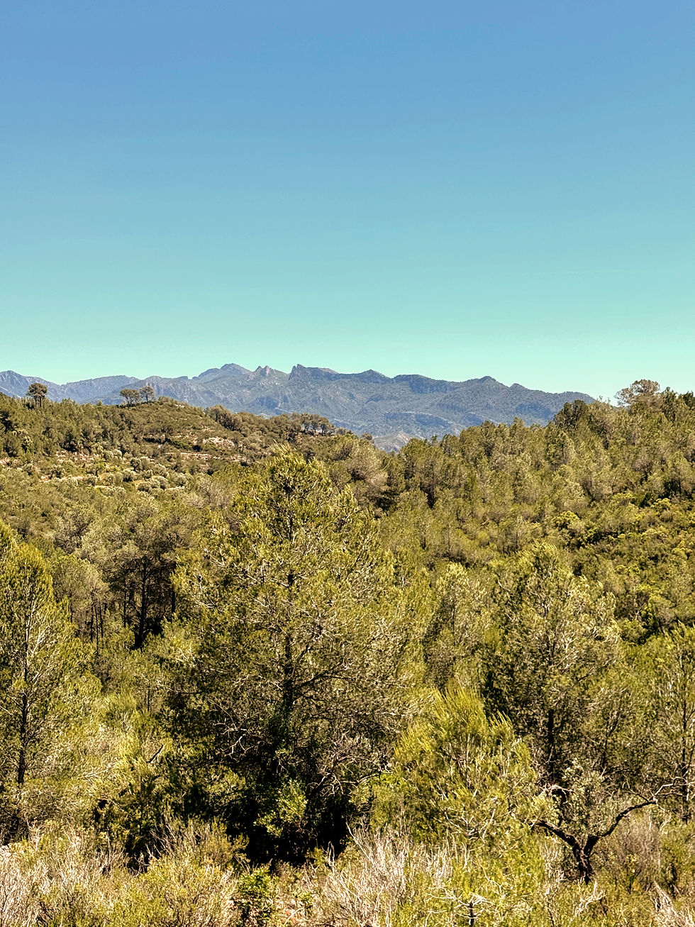 mountain_edited_edited