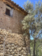 IMG_7354_edited_edited