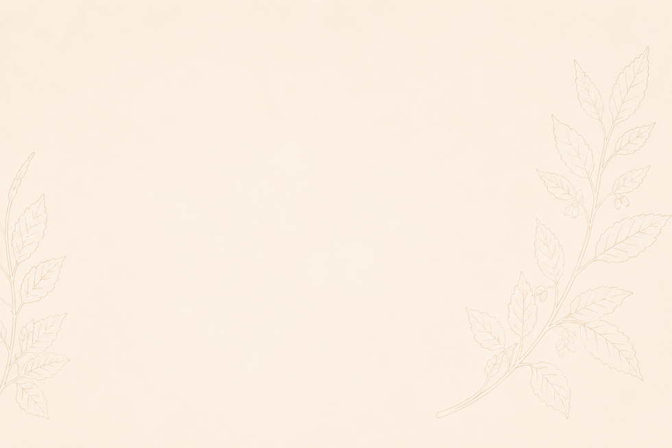 ChatGPT Image 29 de jun. de 2026, 15_03_06.png