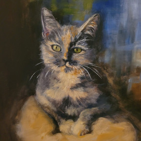 Marble the Cat